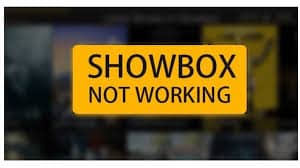 showbox server error