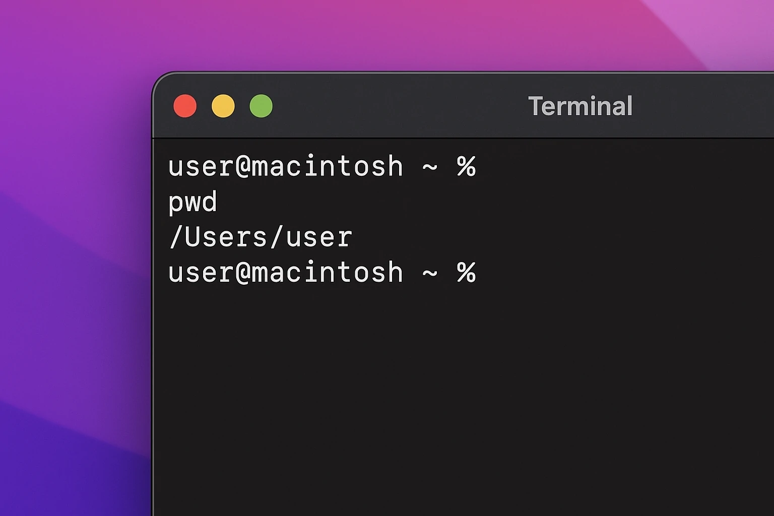 Terminal window showing simple commands on macOS